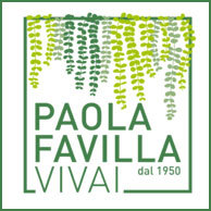 VIVAI PAOLA FAVILLA